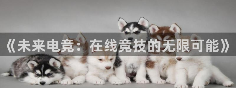 黑白体育直播在线观看：《未来电竞：在线竞技的无限可能》