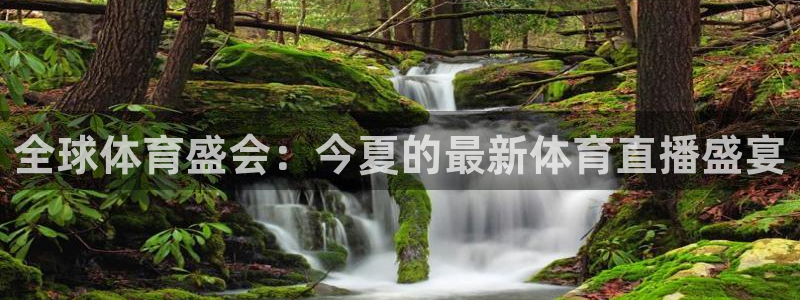 黑白直播篮球：全球体育盛会：今夏的最新体育直播盛宴