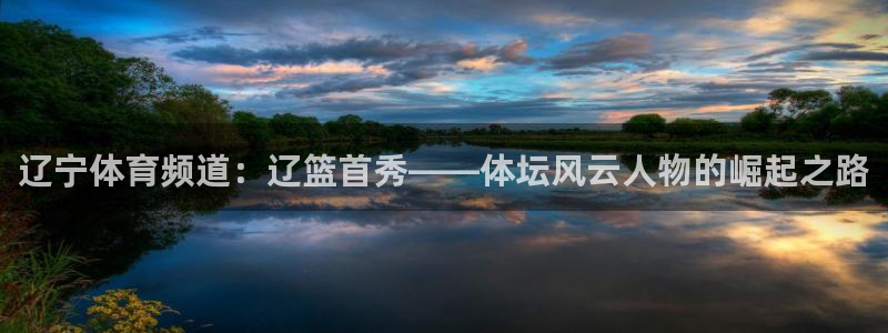 黑白直播体育下载：辽宁体育频道：辽篮首秀——体坛风云人物的崛起之路